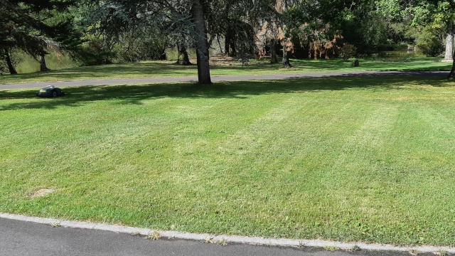 Mow lane result.jpg