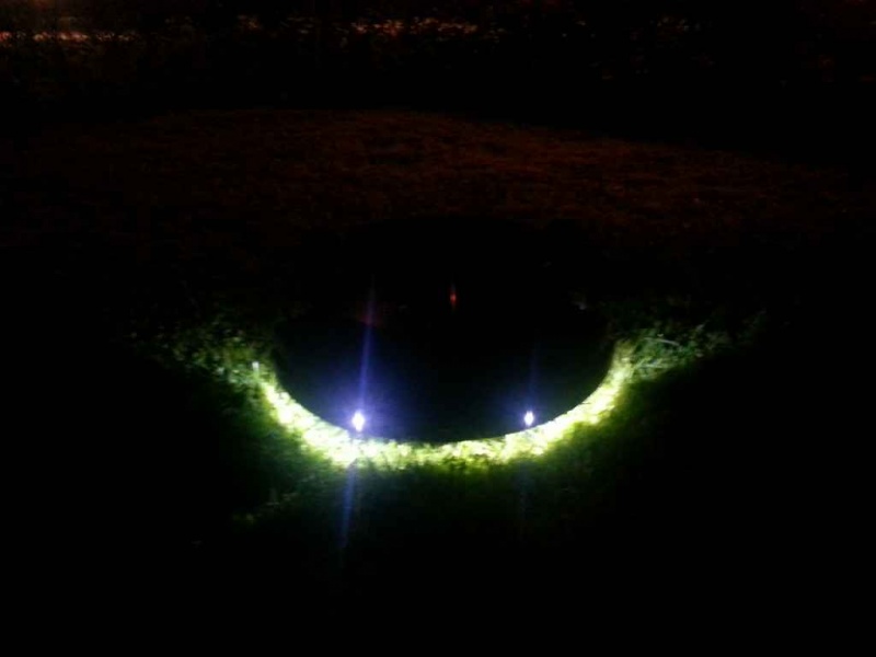 Datei:Wiese beleuchtet.jpg